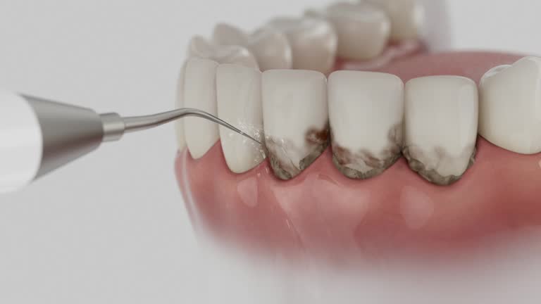 Reliable Dental contractor in Odessa, FL by Dentist Open Now